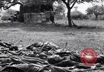 Image of German dead near Merderet River World War 2 France, 1944, second 14 stock footage video 65675027673