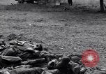 Image of German dead near Merderet River World War 2 France, 1944, second 15 stock footage video 65675027673