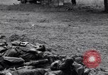 Image of German dead near Merderet River World War 2 France, 1944, second 16 stock footage video 65675027673