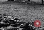 Image of German dead near Merderet River World War 2 France, 1944, second 17 stock footage video 65675027673