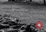 Image of German dead near Merderet River World War 2 France, 1944, second 18 stock footage video 65675027673