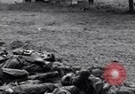 Image of German dead near Merderet River World War 2 France, 1944, second 19 stock footage video 65675027673