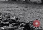 Image of German dead near Merderet River World War 2 France, 1944, second 20 stock footage video 65675027673
