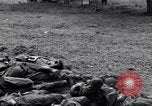 Image of German dead near Merderet River World War 2 France, 1944, second 21 stock footage video 65675027673