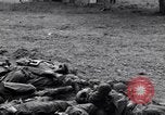 Image of German dead near Merderet River World War 2 France, 1944, second 22 stock footage video 65675027673