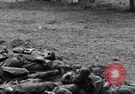 Image of German dead near Merderet River World War 2 France, 1944, second 23 stock footage video 65675027673
