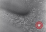 Image of German dead near Merderet River World War 2 France, 1944, second 29 stock footage video 65675027673