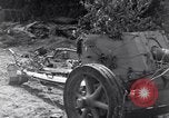 Image of German dead near Merderet River World War 2 France, 1944, second 39 stock footage video 65675027673