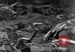Image of German dead near Merderet River World War 2 France, 1944, second 40 stock footage video 65675027673