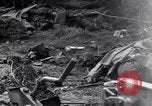 Image of German dead near Merderet River World War 2 France, 1944, second 41 stock footage video 65675027673