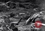 Image of German dead near Merderet River World War 2 France, 1944, second 43 stock footage video 65675027673