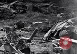 Image of German dead near Merderet River World War 2 France, 1944, second 44 stock footage video 65675027673