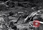 Image of German dead near Merderet River World War 2 France, 1944, second 45 stock footage video 65675027673