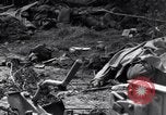 Image of German dead near Merderet River World War 2 France, 1944, second 46 stock footage video 65675027673