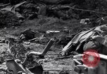 Image of German dead near Merderet River World War 2 France, 1944, second 47 stock footage video 65675027673