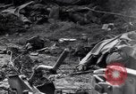 Image of German dead near Merderet River World War 2 France, 1944, second 49 stock footage video 65675027673