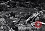 Image of German dead near Merderet River World War 2 France, 1944, second 50 stock footage video 65675027673