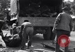Image of German dead near Merderet River World War 2 France, 1944, second 51 stock footage video 65675027673