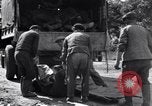 Image of German dead near Merderet River World War 2 France, 1944, second 58 stock footage video 65675027673