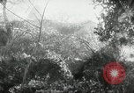 Image Les soldats allemands bataille les forces américaines Monte Cassino Italie, 1944, de la seconde 18 séquences d'archives historiques vidéo 65675027677