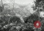 Image Les soldats allemands bataille les forces américaines Monte Cassino Italie, 1944, de la seconde 19 séquences d'archives historiques vidéo 65675027677