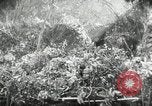 Image Les soldats allemands bataille les forces américaines Monte Cassino Italie, 1944, de la seconde 21 séquences d'archives historiques vidéo 65675027677