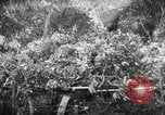 Image Les soldats allemands bataille les forces américaines Monte Cassino Italie, 1944, de la seconde 22 séquences d'archives historiques vidéo 65675027677