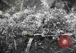 Image Les soldats allemands bataille les forces américaines Monte Cassino Italie, 1944, de la seconde 23 séquences d'archives historiques vidéo 65675027677
