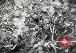 Image Les soldats allemands bataille les forces américaines Monte Cassino Italie, 1944, de la seconde 24 séquences d'archives historiques vidéo 65675027677