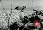 Image Les soldats allemands bataille les forces américaines Monte Cassino Italie, 1944, de la seconde 46 séquences d'archives historiques vidéo 65675027677