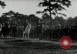 Image of Japanese Emperor Hirohito Japan, 1942, second 34 stock footage video 65675027682