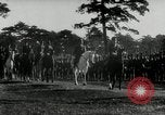 Image of Japanese Emperor Hirohito Japan, 1942, second 39 stock footage video 65675027682