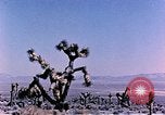 Image of Atomic Test Grable Nevada United States USA, 1953, second 5 stock footage video 65675027692