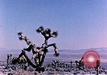 Image of Atomic Test Grable Nevada United States USA, 1953, second 7 stock footage video 65675027692