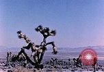 Image of Atomic Test Grable Nevada United States USA, 1953, second 11 stock footage video 65675027692
