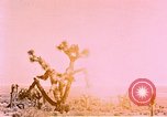 Image of Atomic Test Grable Nevada United States USA, 1953, second 18 stock footage video 65675027692