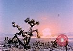 Image of Atomic Test Grable Nevada United States USA, 1953, second 20 stock footage video 65675027692