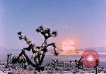 Image of Atomic Test Grable Nevada United States USA, 1953, second 21 stock footage video 65675027692