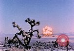 Image of Atomic Test Grable Nevada United States USA, 1953, second 22 stock footage video 65675027692
