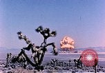 Image of Atomic Test Grable Nevada United States USA, 1953, second 23 stock footage video 65675027692
