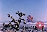 Image of Atomic Test Grable Nevada United States USA, 1953, second 25 stock footage video 65675027692