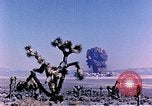 Image of Atomic Test Grable Nevada United States USA, 1953, second 27 stock footage video 65675027692
