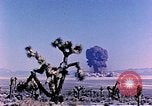 Image of Atomic Test Grable Nevada United States USA, 1953, second 28 stock footage video 65675027692