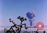 Image of Atomic Test Grable Nevada United States USA, 1953, second 42 stock footage video 65675027692