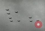 Standbild Mitsubishi A6M Flugzeuge Japan, 1941, aus Sekunde 19 historischem Filmmaterial Videoclip 65675027698