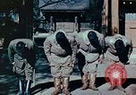Standbild japanische Kamikaze Piloten Chofu Japan, 1945, aus Sekunde 23 historischem Filmmaterial Videoclip 65675027700