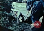 Image of Japanese workers Tokyo Japan, 1945, second 10 stock footage video 65675027708