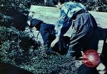 Image of Japanese workers Tokyo Japan, 1945, second 13 stock footage video 65675027708