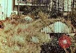 Immagine di Giapponese Air Raid Shelter Tokyo Giappone, 1945, secondo 9 filmato di repertorio 65675027724