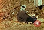 Immagine di Giapponese Air Raid Shelter Tokyo Giappone, 1945, secondo 48 filmato di repertorio 65675027724